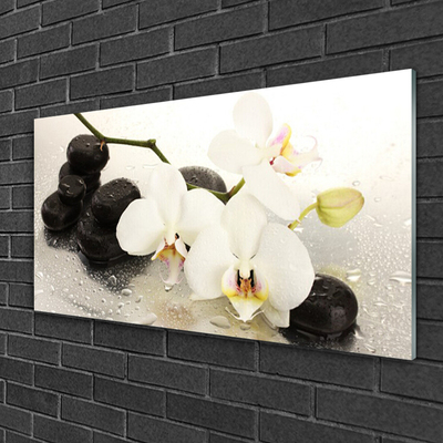 Foto in glas Mooie bloem orchidee