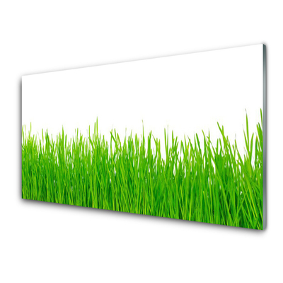 Foto in glas Grass nature plant