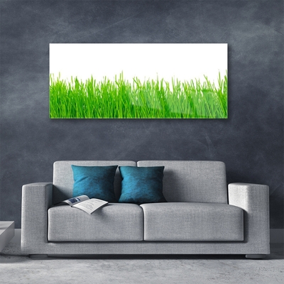 Foto in glas Grass nature plant