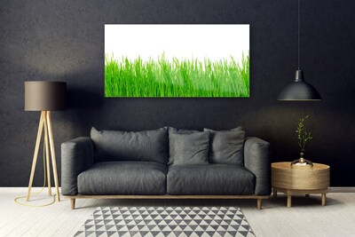 Foto in glas Grass nature plant