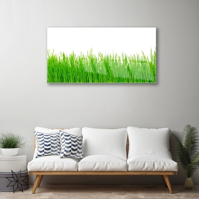 Foto in glas Grass nature plant