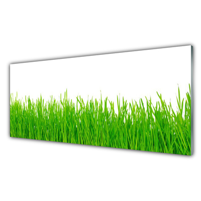 Foto in glas Grass nature plant