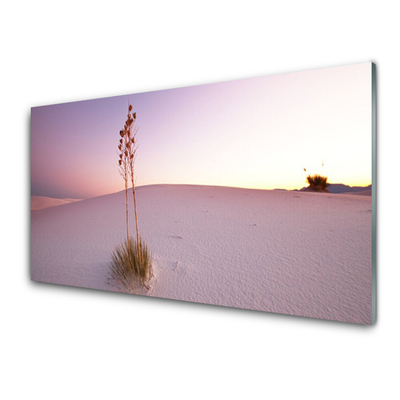 Foto in glas Zand landschap van de woestijn