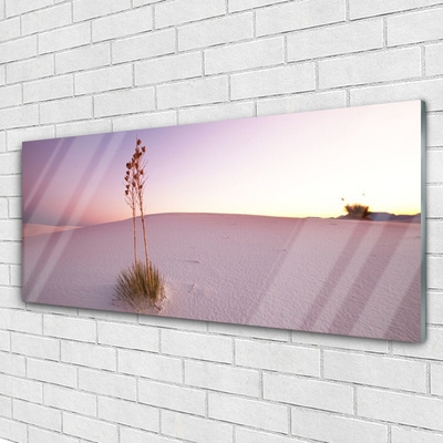 Foto in glas Zand landschap van de woestijn