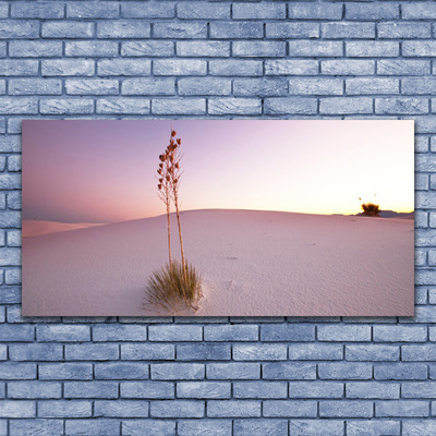 Foto in glas Zand landschap van de woestijn