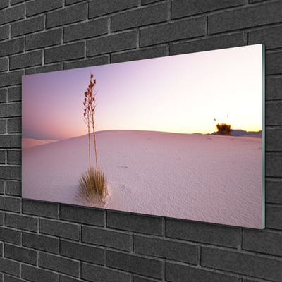 Foto in glas Zand landschap van de woestijn