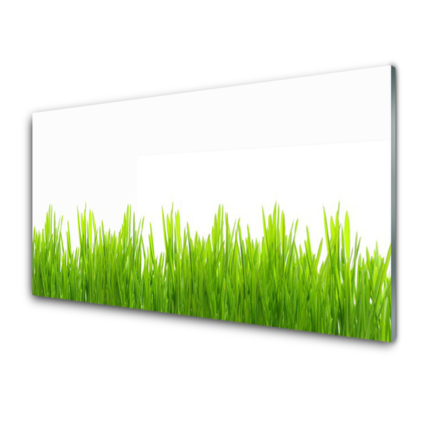 Foto in glas Grass nature plant