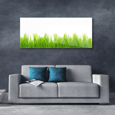 Foto in glas Grass nature plant