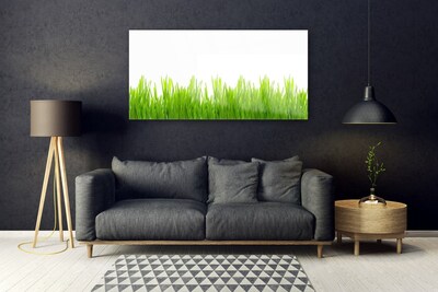 Foto in glas Grass nature plant