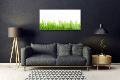 Foto in glas Grass nature plant