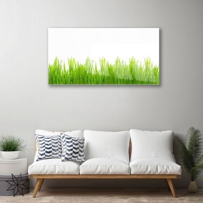 Foto in glas Grass nature plant