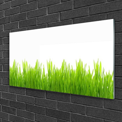 Foto in glas Grass nature plant