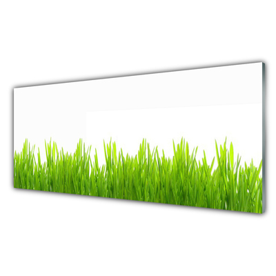 Foto in glas Grass nature plant