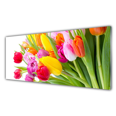 Glas foto Tulpen bloemen plant