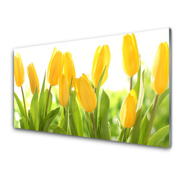 Glas foto Tulpen bloemen plant