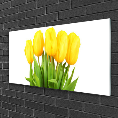 Glas foto Tulpen bloemen plant