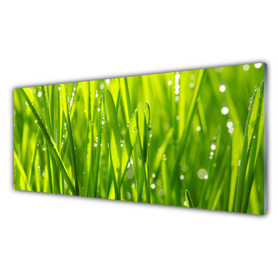 Glas foto Grass nature plant