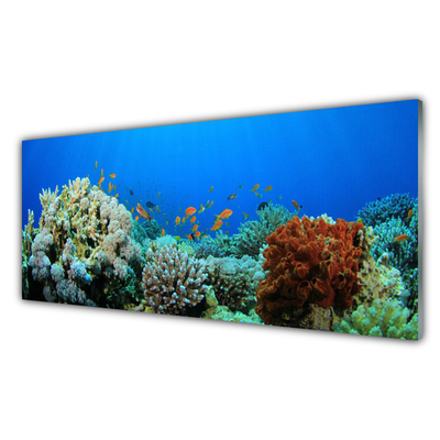 Glas foto Barrier reef nature