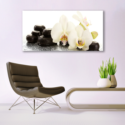 Glas foto Witte orchidee bloem