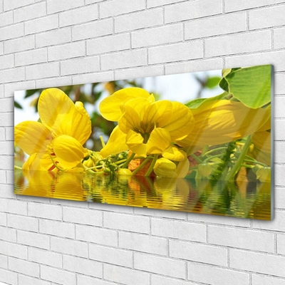 Glas foto Bloemen plant nature