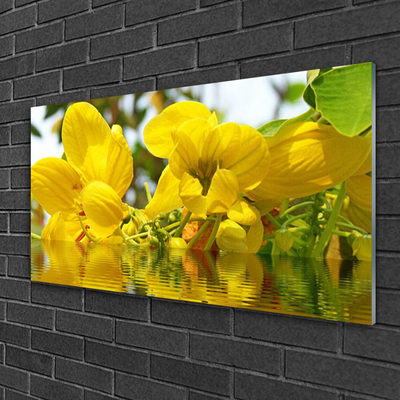 Glas foto Bloemen plant nature