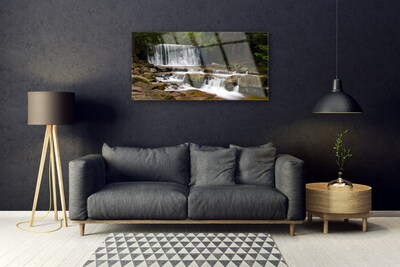 Glas foto Boswaterval nature