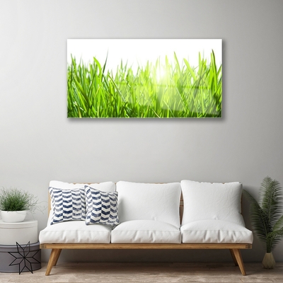 Glas foto Grass nature plant