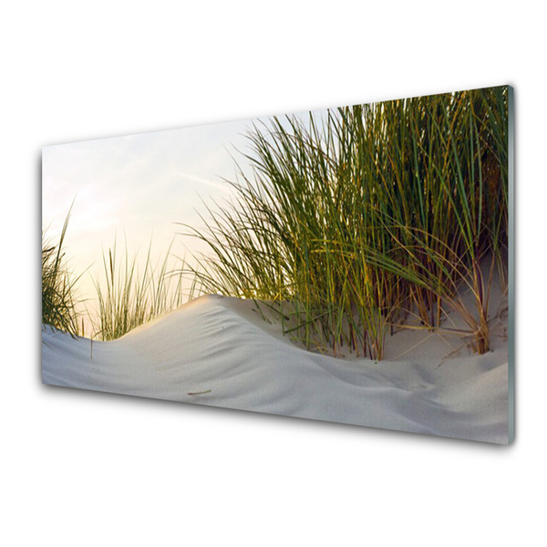 Glas foto Zand gras landschap