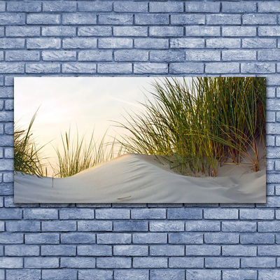 Glas foto Zand gras landschap