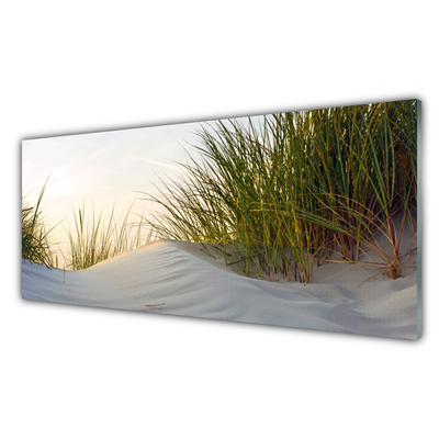 Glas foto Zand gras landschap