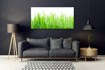 Glas foto Grass nature plant