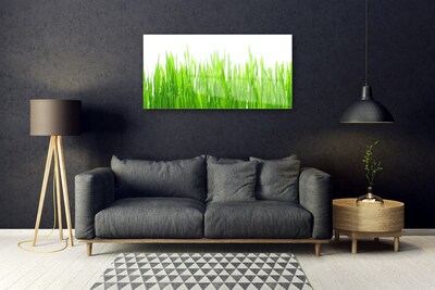 Glas foto Grass nature plant