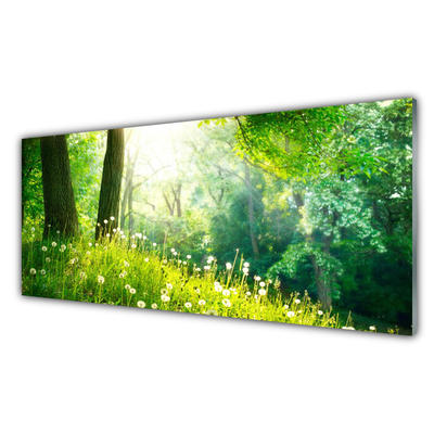 Glas foto Weide natuur plant