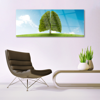 Glas foto Grass nature tree longen