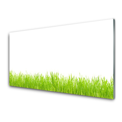 Glas foto Grass nature plant