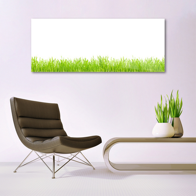 Glas foto Grass nature plant