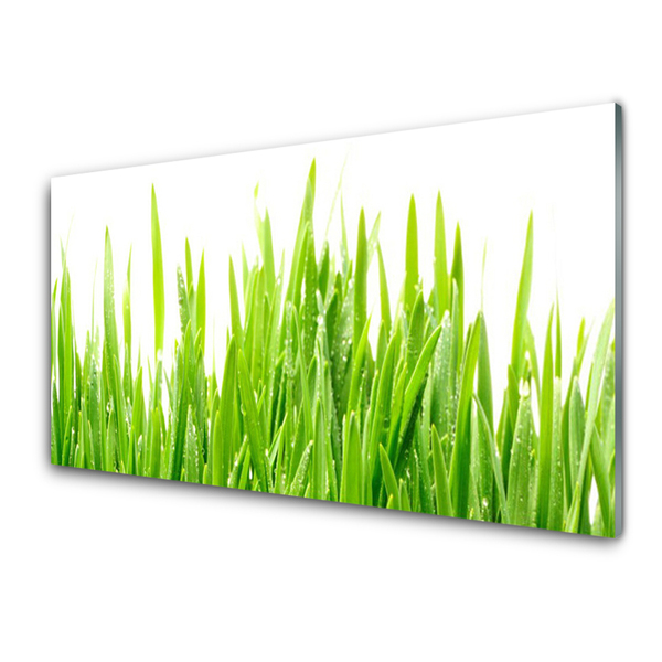 Glas foto Grass nature plant