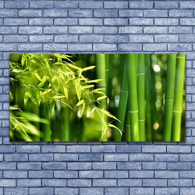 Glas foto Bladeren van het bamboe plant