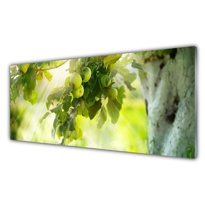 Glas foto Apple tree branch natuur