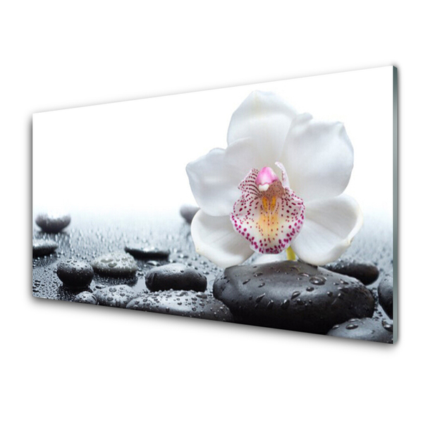 Glas foto Orchid flower art
