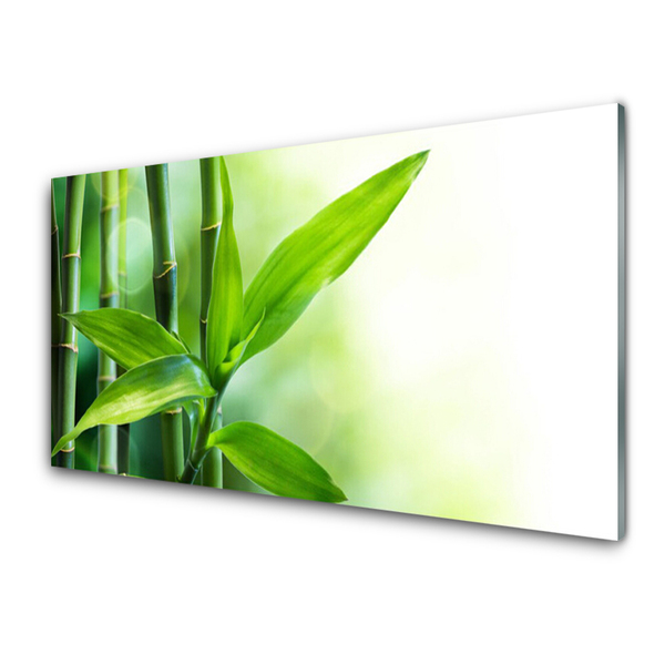 Glas foto Bamboo leaf nature plant