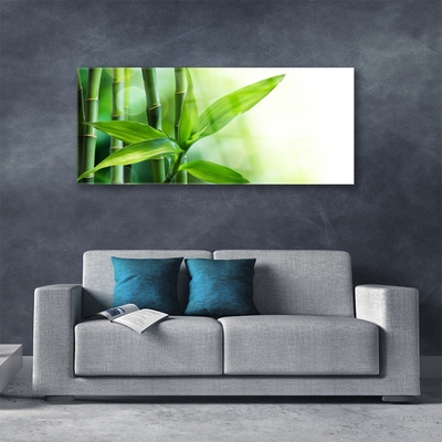 Glas foto Bamboo leaf nature plant