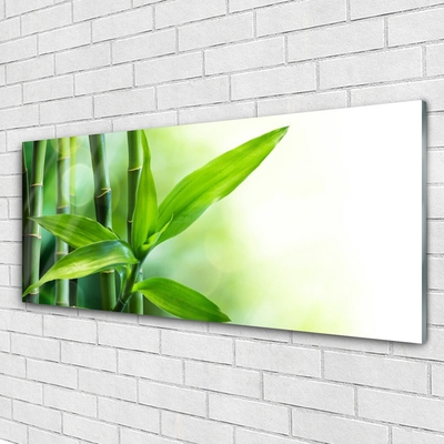 Glas foto Bamboo leaf nature plant