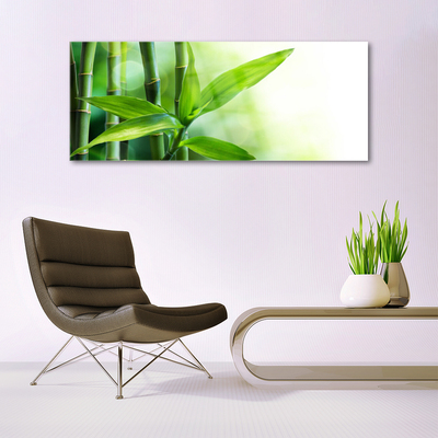 Glas foto Bamboo leaf nature plant