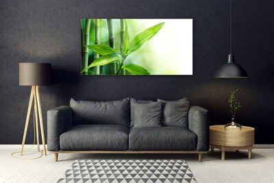 Glas foto Bamboo leaf nature plant