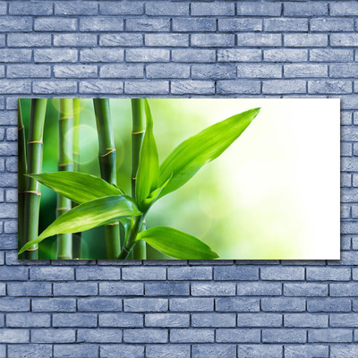 Glas foto Bamboo leaf nature plant