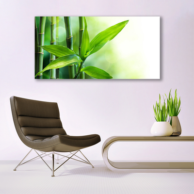 Glas foto Bamboo leaf nature plant