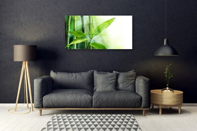 Glas foto Bamboo leaf nature plant