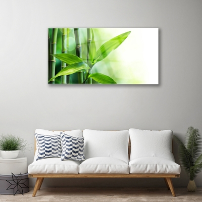 Glas foto Bamboo leaf nature plant