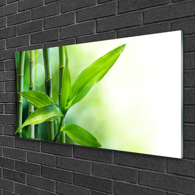 Glas foto Bamboo leaf nature plant